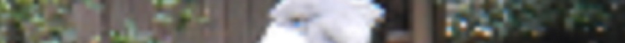 DSCN6475 - コピー.JPG