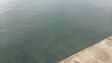 DSC_0016.jpg