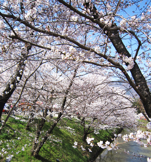 20110426_01.jpg