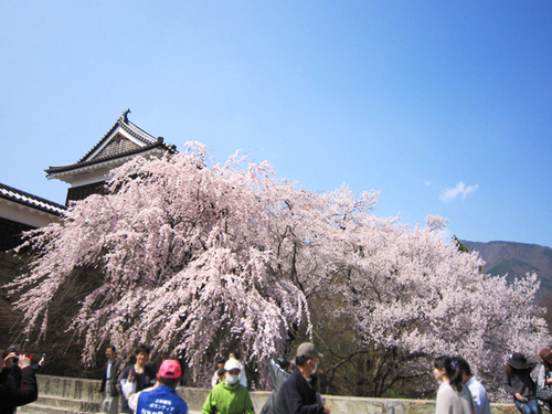 20110426_02.jpg