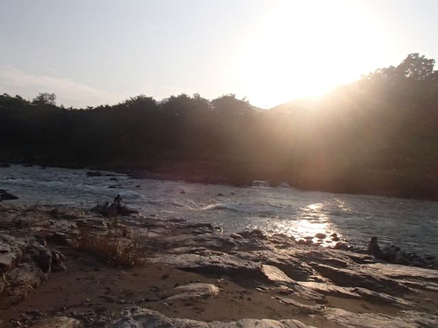 PA110008.jpg