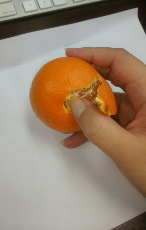1224_01.jpgのサムネイル画像