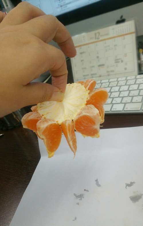1224_05.jpg