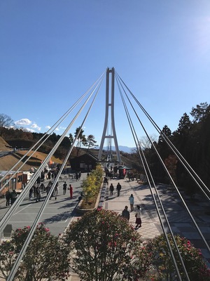 shizuoka6.JPG
