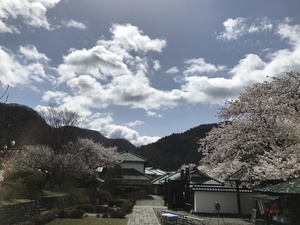 IMG_2426.JPGのサムネイル画像
