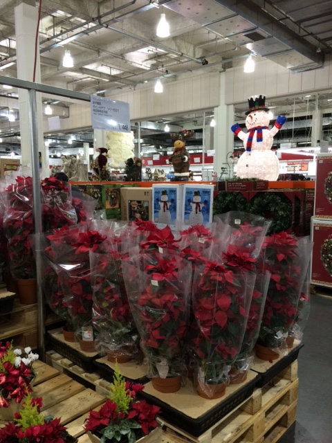 costco.JPG