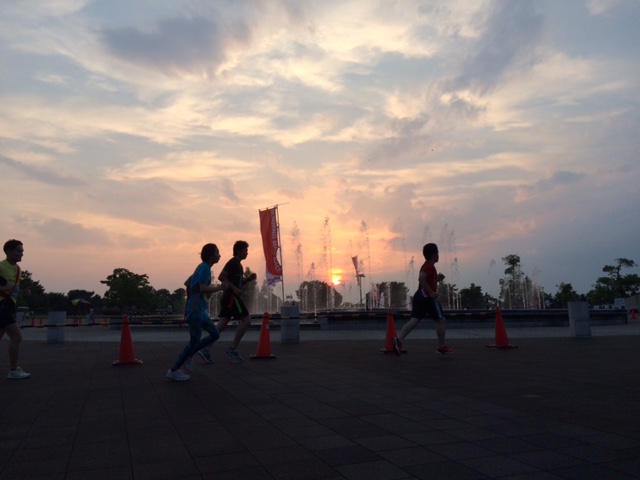image5.jpeg