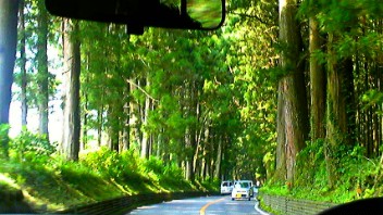 100821_131741_ed_ed.jpg