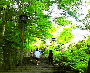 100821_141857_ed_ed.jpg