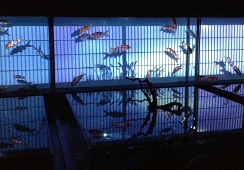 20131202_02.jpg