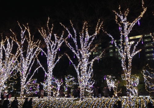 20131216_02.jpg
