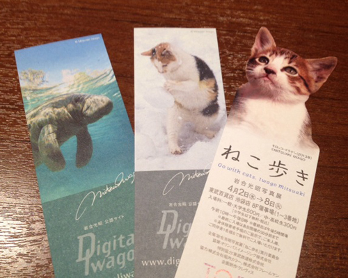 20140414.jpg