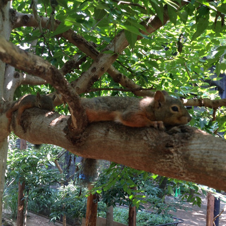 20140804_01.jpg