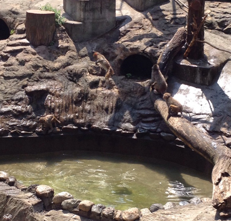 20140804_02.jpg