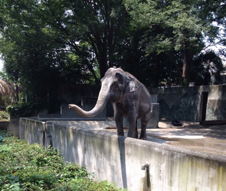 20140804_03.jpg